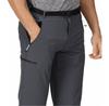 Брюки Regatta Xert III Stretch Pants seal серый