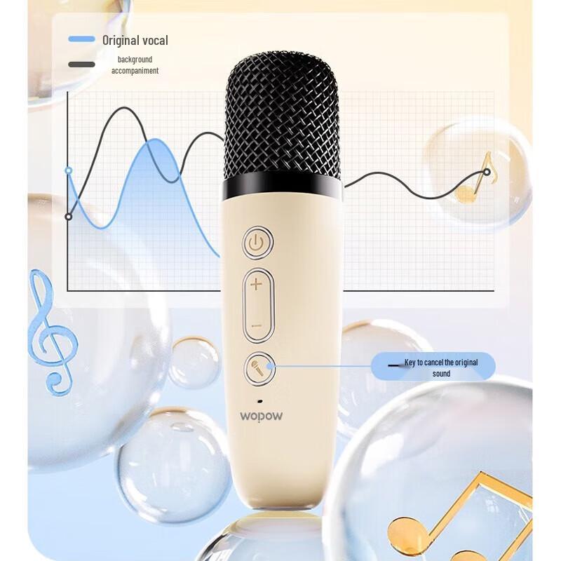 WoPin AP08 Portable Bluetooth Karaoke Speaker with Microphone