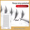 Manga Wing Quick Forming Eyelashes - Soft Grafting for Eyelash Artists