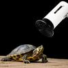 Ceramic Heating Lamp Lizerd Tortise Crawling Pet Bulb 25w-200w