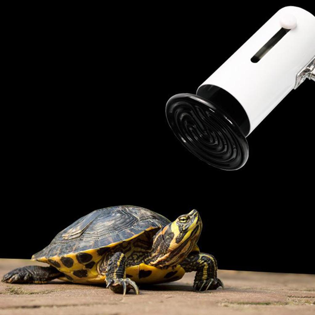 Ceramic Heating Lamp Lizerd Tortise Crawling Pet Bulb 25w-200w