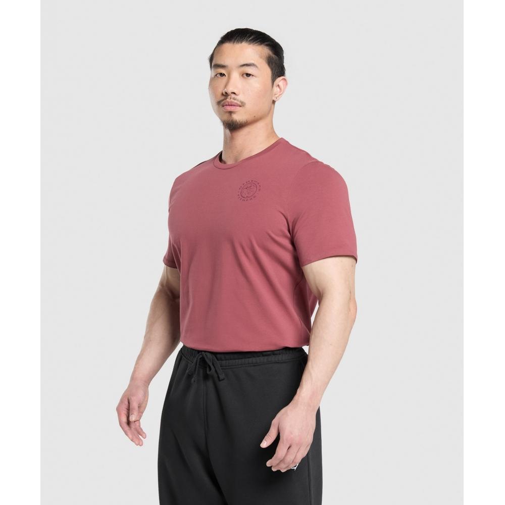 Gymshark T-shirt Legacy rose baie délavé A5a3b Kcps