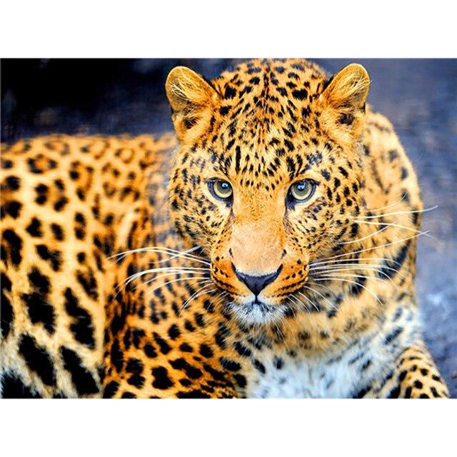 

DIY 5D Алмазна картина Тварина Тигр і Леопард Вишивка хрестиком Алмазна Вишивка Мозаїка Ремесло Прикраса дому Художній подарунок ручної роботи Full Round 40x50CM