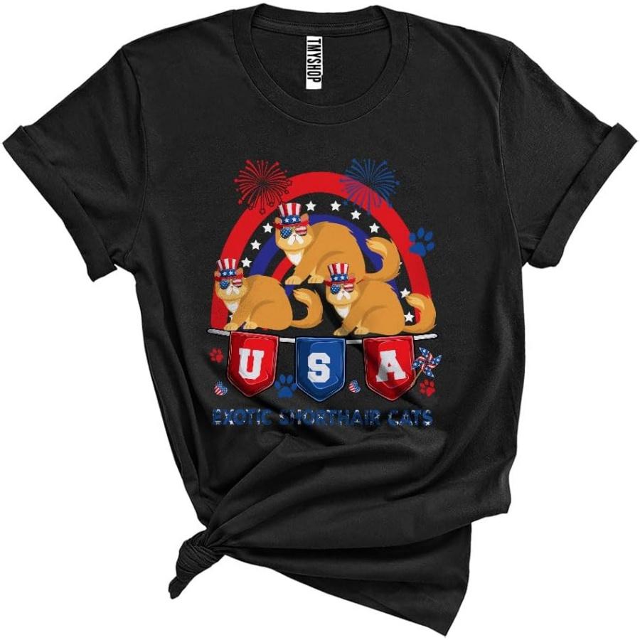 

USA Exotic Shorthair Cats Funny Cute 4th of July Independence Day Fireworks Lover Unisex T-Shirt Black XXXXXL різнокольоровий