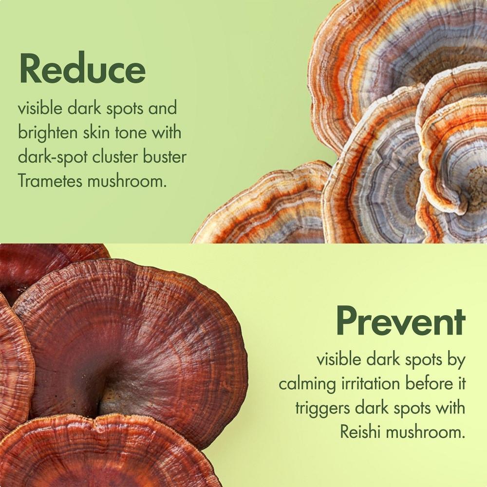 Origins Mega Mushroom Dark Spot Brightening Face Serum 1.0 Oz