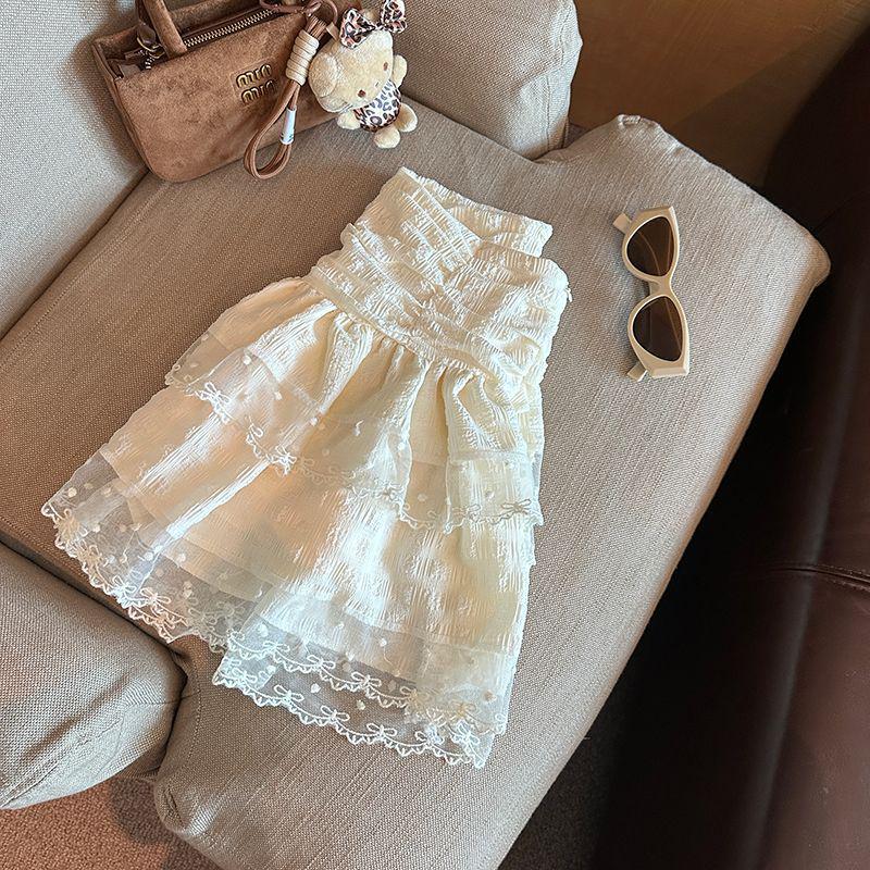 Ballet-Inspired High Waist A-Line Lace Chiffon Skirt for Women