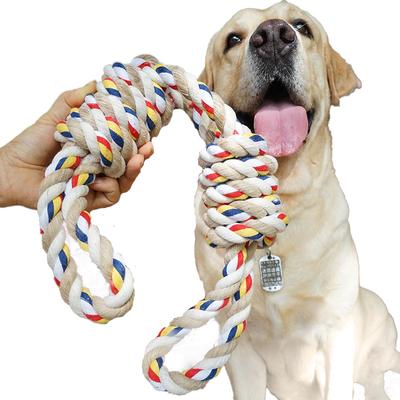 Hunde – Hundespielzeug