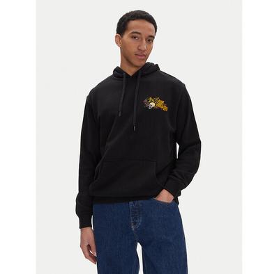 DC Shoes Hoodie ADYSF03143