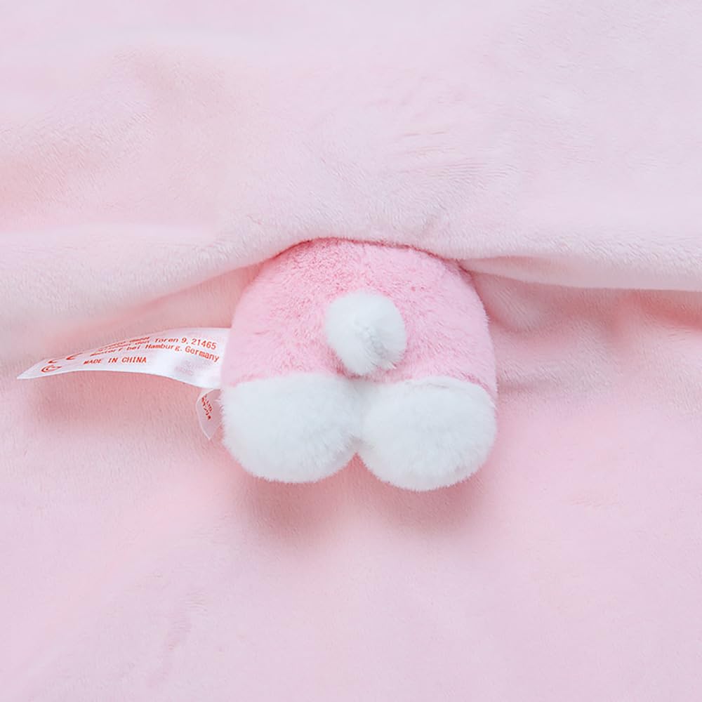 Sanrio Baby Hello Kitty 25 x 40 x 5 Sanrio Baby Washable Baby 767549 Doll, cm, Mascot, Character,