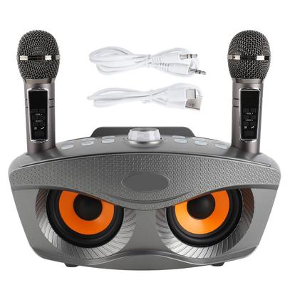 Enceinte karaoké familiale Bluetooth 4.2 pour extérieur, double microphone portable sans fil stéréo, gris