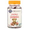 Garden of Life MyKind Organics Kids Multi Fruit Flavor Vegan Gummy Bears 120 Count