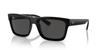 Sunglasses RB4396F WARREN BLACK 57 [Ray-Ban] Men's