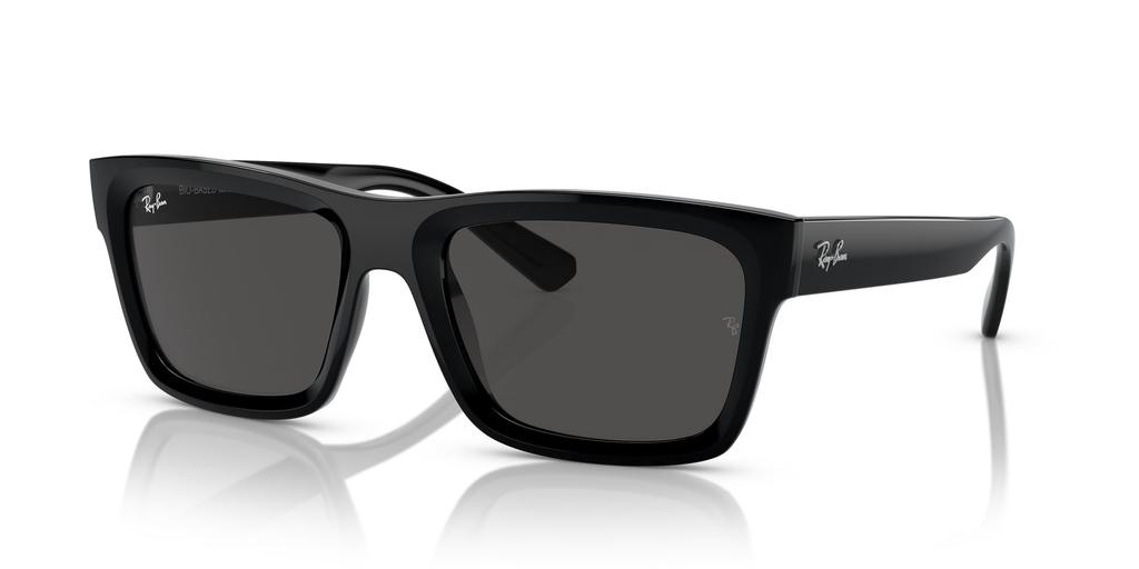 Sunglasses RB4396F WARREN BLACK 57 [Ray-Ban] Men's