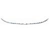 Front Bumper Bright Strip Trim for Mercedes-Benz C-Class C200/C260 (205 Short Wheelbase)