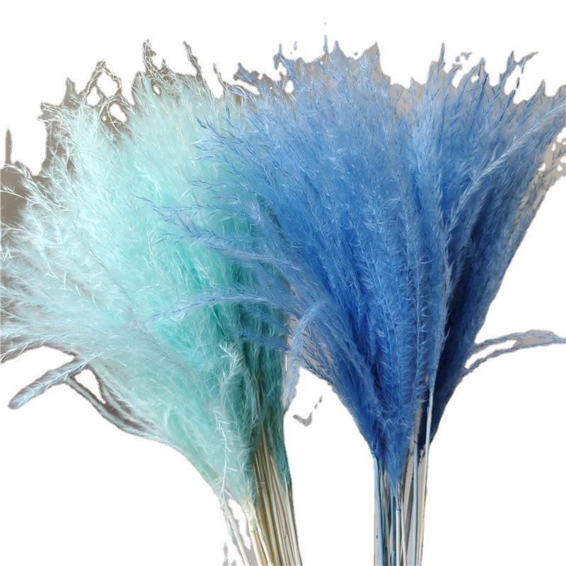 Cattail Dried Flower Bouquet - Preserved Flowers for Home Decor