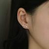 Orecchini a Perno Fiore Stella in Argento Zircone alla Moda per Donna Piercing Semplice in Metallo Orecchini Rampicanti Accessori Gioielli