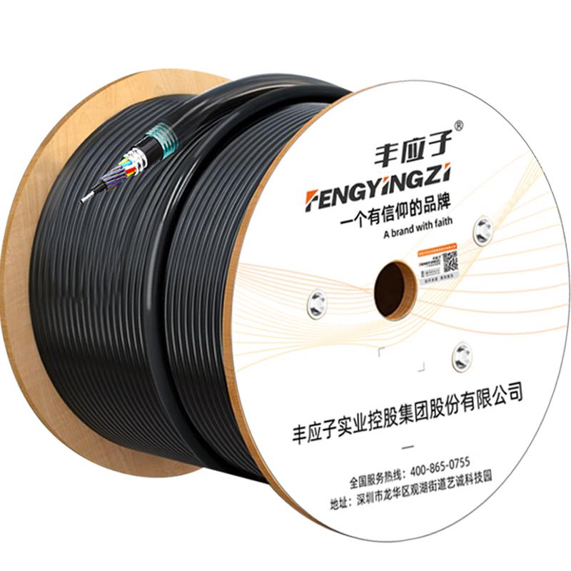 

FengYingZi GYTA53 Heavy Armored 12-Core Single-Mode Outdoor Fiber Optic Cable