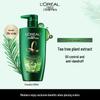 L'Oréal Tea Tree Purifying Anti-Dandruff Shampoo
