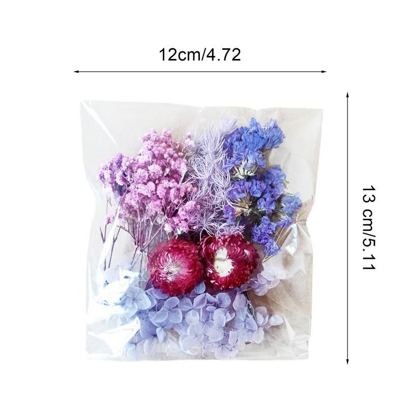 Natural Plants Dried StarrySky Flowers Preserved Materials Kit Epoxy Resin Candles Soap DIY Floral Materials Set Dried Flowers