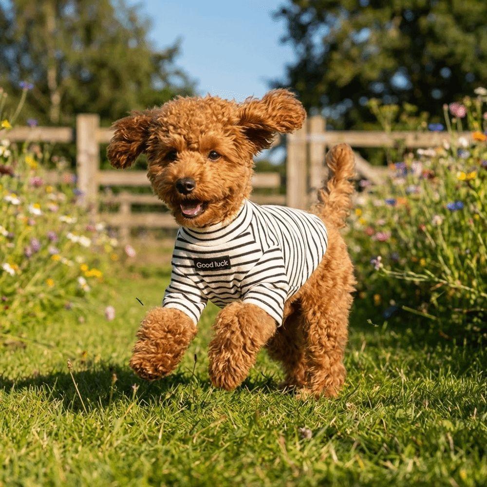 Warm Dog Base Coat High Collar Striped Sweatshirt Cat Household Wear Dog T-shirt  Indoor Use