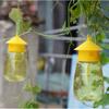 Lure Fly Catcher Plastic Effective Kitchen Gnats Trap with Reusable Bottle for Guava Tomato