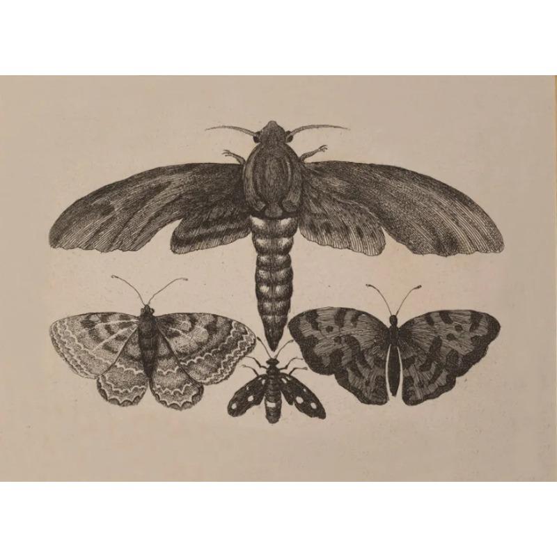 Vintage Spider Antique Bat Raven Moth Butterfly Gothic Art Poster Canvas Painting Wall Prints Picture Dark Academia Decoration
