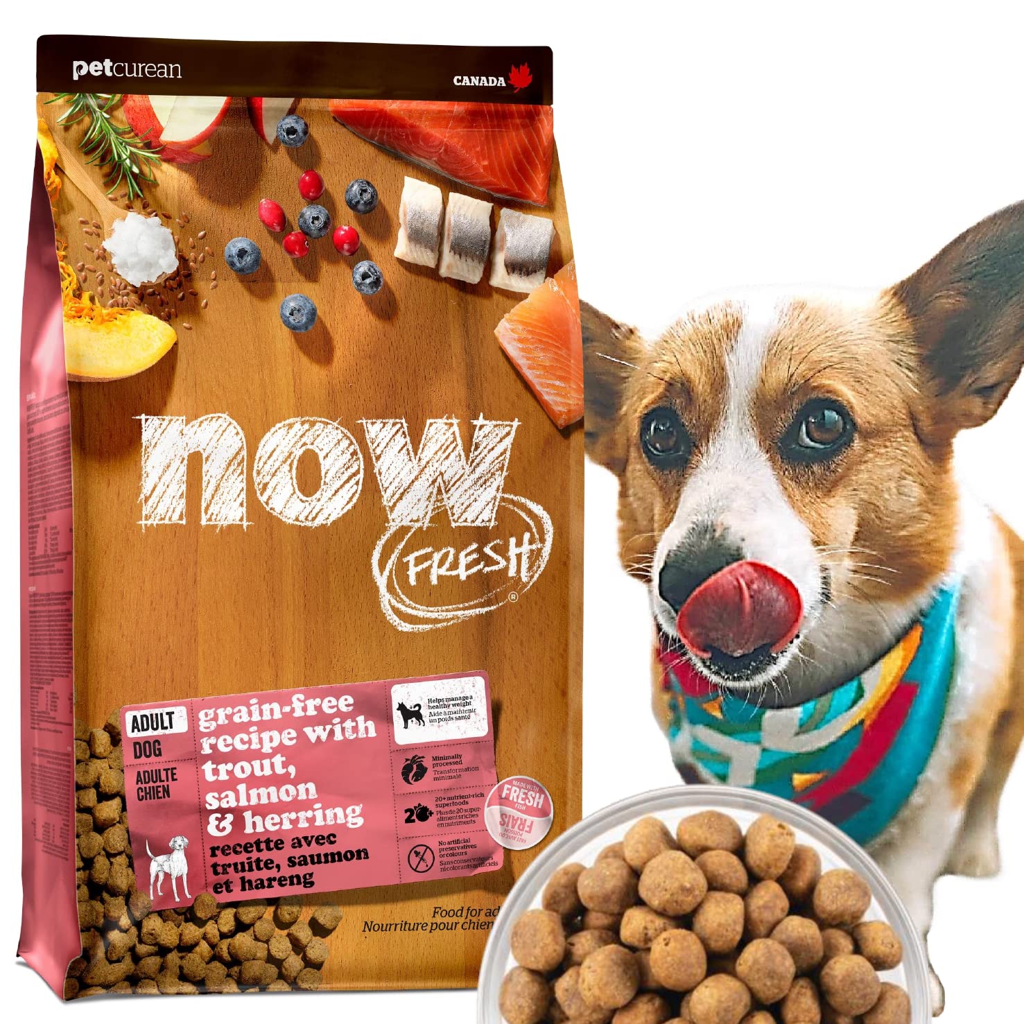 

[Доставка свежего качества] NOW FRESH Корм для взрослых собак всех пород, 2,72 кг, Сухой, Рыбный вкус (Форель, Лосось и Сельдь), Регулярный, Беззерновой, Без еды