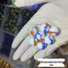 16mm Mixed Checkered Glass Beads & Marbles - Nostalgic Crystal Balls for Kids