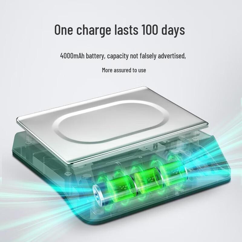 CAMRY 30kg Commercial Electronic Platform Scale (CN version)