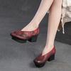 Chinese Style Platform Pumps Wipe Color Chunky Heel Waterproof Platform Women Dress Shoes