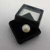 Natural Sea Pearl   Loose Gem 4.85 Carat White Mabe Excellent Fancy Cut