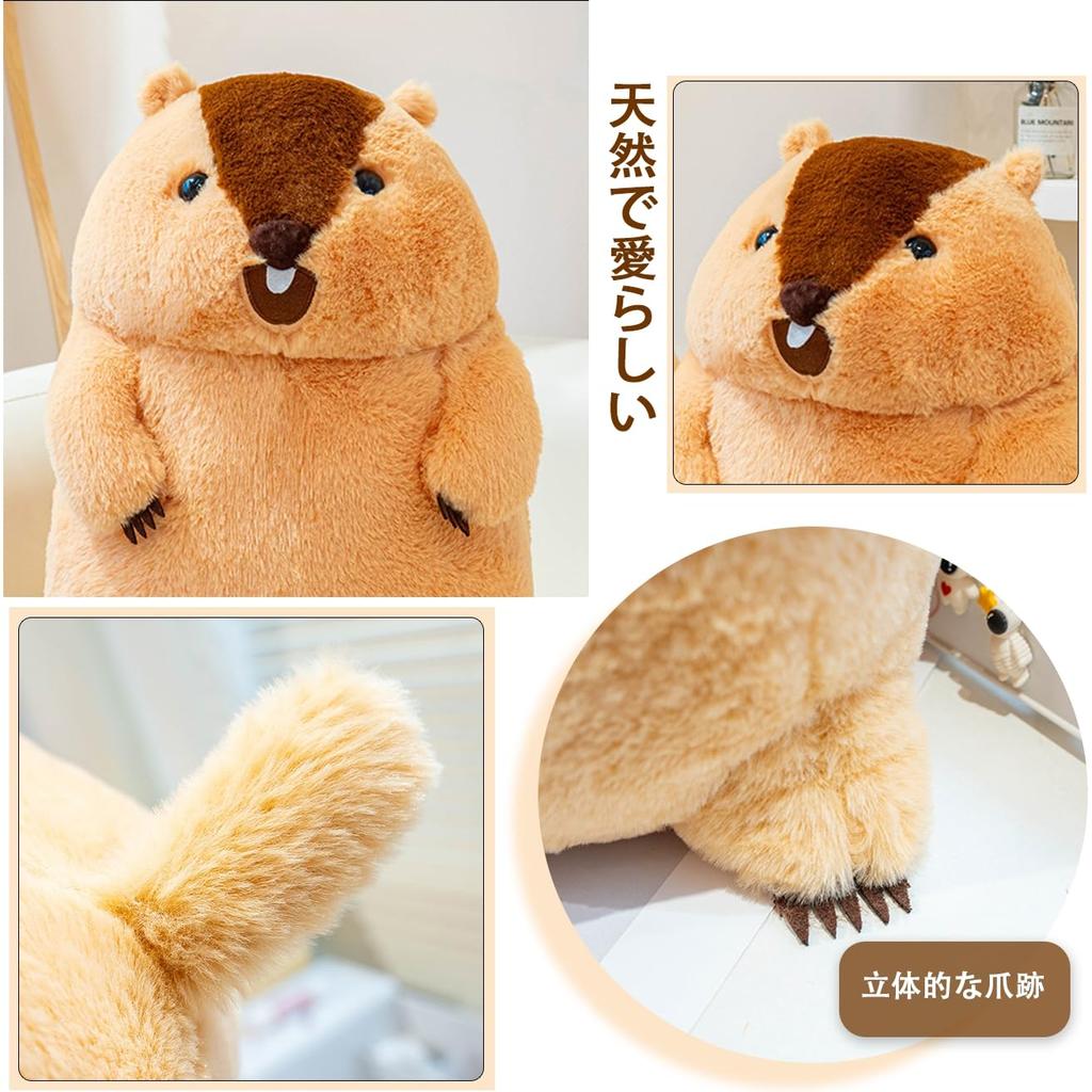 MikQig Marmot Plush Toy, Large, Huggable Pillow, Lifelike Animal, Soft and Fluffy, Cute Animal, Style 2, Figurine, Christmas, Birthday Gift, 40x30x30c