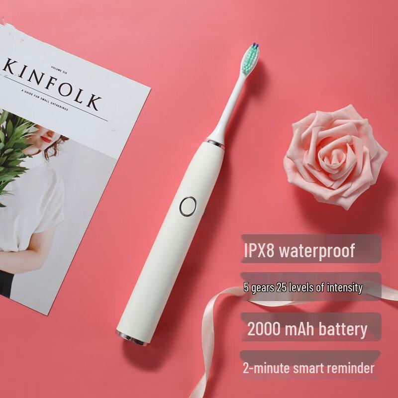 

Qianbaimei H9 Sonic Electric Toothbrush