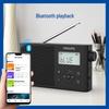Philips Portable Bluetooth Full-Band Radio Speaker CN plug (adapter included)