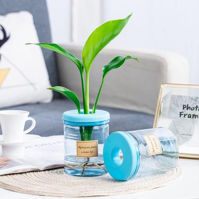Geurloze Luie Hydroponische Bloempot Slijtvaste Transparante Fles Plantenbak Woondecoratie