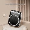 SHIDU S308 Portable Wireless Voice Amplifier with Microphone CN Plug (adapter Included)