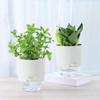 Self Watering Flowerpot Automatic Self-watering Flowerpot with Drainage Holes Transparent Base Hydroponic Planter Flowerpot