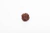 Grano Rudraksha Nepalese a 6 Mukhi | Rudraksha Autentico Certificato per la Crescita Spirituale | Vero Grano Sacro per la Meditazione e la Guarigione di Navratan Gems
