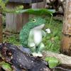 A sitting frog resin ornament, suitable for garden scene arrangement of animal ornaments, home decoration ornaments, green veget