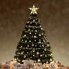 Lighted LED Lighted Star Transparent Christmas Treetop Light Xmas Light Ornaments  Holiday