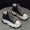 High-top Dad Shoes for Women, New Versatile Shoes, Insole Height-increasing