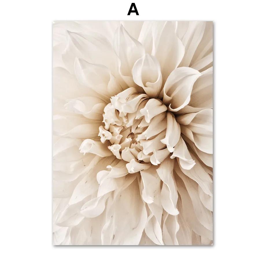 Beige Dahlia Peony Rose Daisy Flower Leaf Posters And Prints Canvas Painting Nordic Wall Art Pictures Living Room Home Decor