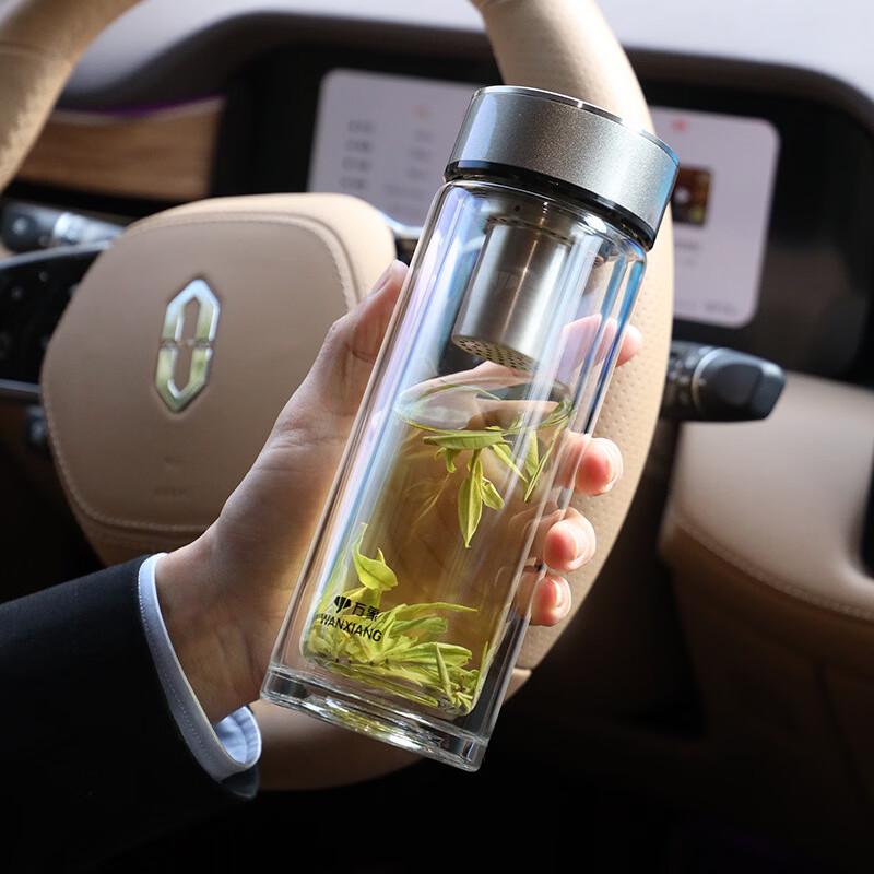 Double-Walled Glass Tea Infuser Bottle
