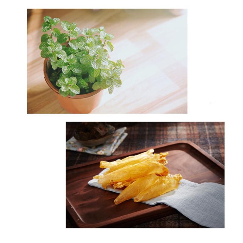 Cat Round Catnip Ball With Dust Cover Sticker Design Cat Candy Snacks Nutrition Food Pet Supplies