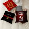 CCCP USSR Soviet Personalized Pillow Cover Kids Bedroom Wild Party Decor Pillowcase Kid Birthday Shower Gift