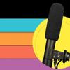 Stereo Camera Microphone Condenser Mic for DSLR Camera DV Camcorder 3.5mm