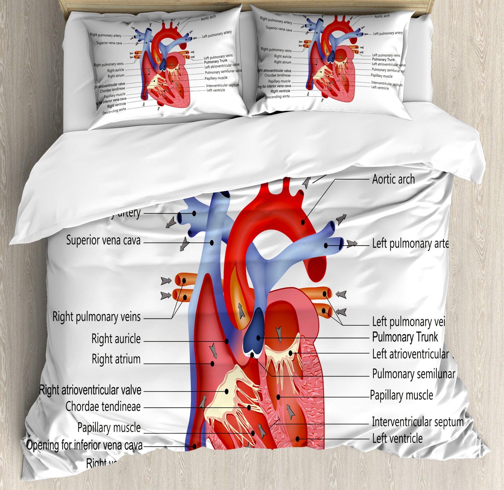 

Анатомія людини King Queen Duvet Cover Body Structure Organ Organ Set Bedding Set Medical Education Cell Biology Soft Polyester Quilt Cover 70x133cm 2pcs