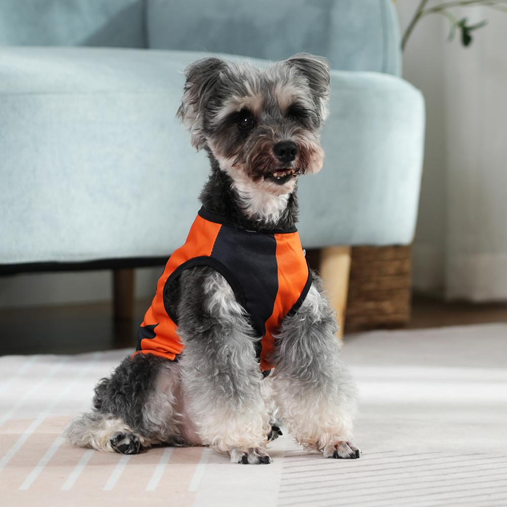 Halloween Dog Vest Small Dogs Clothes Fashion Festival Pumpkin Print Costume Puppy T-shirt Cats Pullover French Bulldog Outfits Pet Supplies