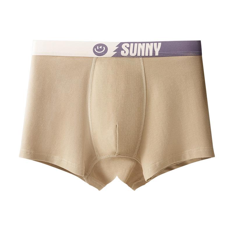 Male Spring and Autumn Cotton 10A Antibacterial Youth Development Period Flat Angle Underwear