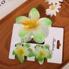 One Large and Two Small, Gradient Color Flower Hair Clip, Summer Fashion Casual Style Hair Accessory Perfect for Outings